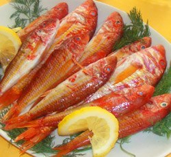 Karabo Meze - Restaurant - Tavern