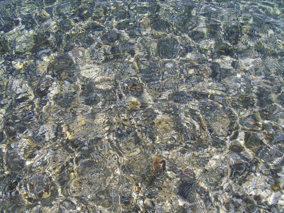 Mediterrenean Frogs - Sea Sports
