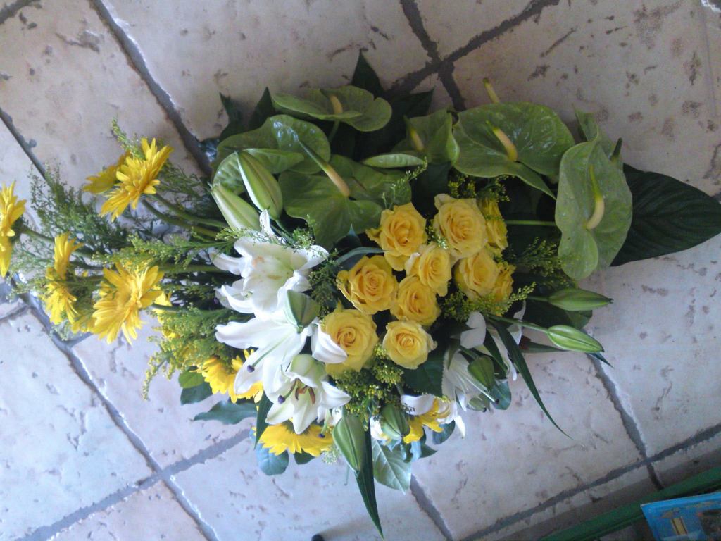 Iris - Flower shop