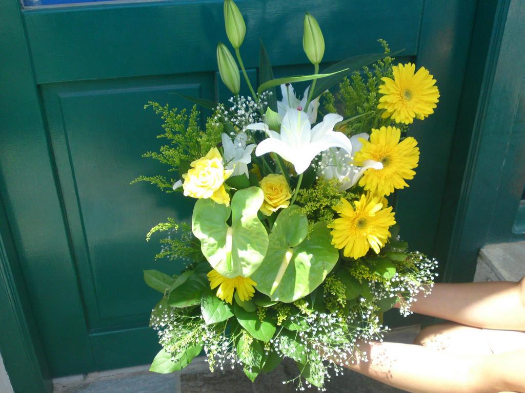 Iris - Flower shop