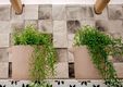 Aurora Apartment - Διαμερίσματα